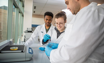 Comprehensive Lab & Food Sensitivity Testing ($500) 